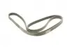Ремінь генератора MB C-class (W203) 00-08 (6PK2190) BOSCH 1987945725 (фото 2)