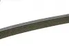 Ремінь генератора MB C-class (W203) 00-08 (6PK2190) BOSCH 1987945725 (фото 3)