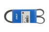Доріжковий пас SKF VKMV6PK1020R (фото 3)