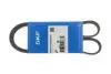 Дорожечный пас SKF VKMV6PK1020R (фото 3)
