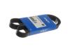 Доріжковий пас SKF VKMV6PK1020R (фото 4)