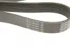 Ремінь генератора MB Atego 13- DAYCO 8PK2317HD (фото 6)