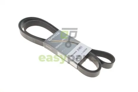 Ремінь генератора VW LT 28-35 2.5 SDI 96-06 (8PK2482) DAYCO 8PK2482HD