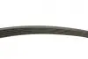 Ремінь генератора Ford Connect 1.8 TDCI 02-13 (6PK1720) BOSCH 1987946295 (фото 3)