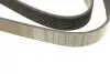 Ремінь генератора Mazda 6 2.0 MZR-CD 07-10/MPV 2.0 DI 02-06 (8PK1230) BOSCH 1987947047 (фото 5)