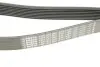 Ремінь генератора MB Truck Atego 98- (8PK1480) (OM904-909) BOSCH 1987947052 (фото 2)