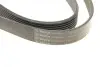 Ремінь генератора VW Touareg 3.0 Hybrid 10-18/Audi A4/A6/A7/Q5/Q7 3.0TFSI 08-17 (7PK1275) BOSCH 1987946251 (фото 6)