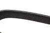 Ремінь генератора Mazda 3/5/6 2.0 DI/CD 02-10 (8PK1225) BOSCH 1987946266 (фото 4)