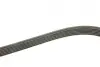 Ремінь генератора Audi A4/A6/A8/Q7 2.7/3.0TDI 04- (6PK2490) BOSCH 1987946246 (фото 2)
