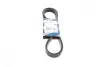 Ремінь генератора MB C-class (W202)/E-class (W211) 2.2CDI/2.7CDI 98-09 (OM612)(6PK2253) BOSCH 1987947569 (фото 1)