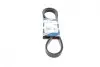 Ремінь генератора MB C-class (W202)/E-class (W211) 2.2CDI/2.7CDI 98-09 (OM612)(6PK2253) BOSCH 1987947569 (фото 6)
