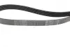 Ремінь генератора MB C-class (W202)/E-class (W211) 2.2CDI/2.7CDI 98-09 (OM612)(6PK2253) BOSCH 1987947569 (фото 7)