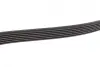Ремінь генератора MB C-class (W202)/E-class (W211) 2.2CDI/2.7CDI 98-09 (OM612)(6PK2253) BOSCH 1987947569 (фото 8)