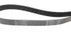 Ремінь генератора MB C-class (W202)/E-class (W211) 2.2CDI/2.7CDI 98-09 (OM612)(6PK2253) BOSCH 1987947569 (фото 2)