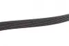 Ремінь генератора MB C-class (W202)/E-class (W211) 2.2CDI/2.7CDI 98-09 (OM612)(6PK2253) BOSCH 1987947569 (фото 3)