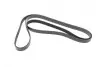Ремінь генератора MB C-class (W202)/E-class (W211) 2.2CDI/2.7CDI 98-09 (OM612)(6PK2253) BOSCH 1987947569 (фото 4)