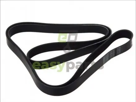 Фото доріжковий пас DAYCO 8PK2555HD Доріжковий пас DAYCO 8PK2555HD