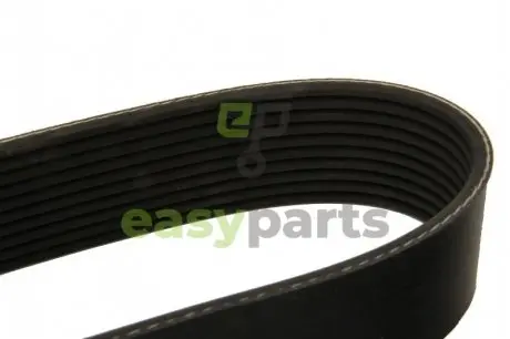 Доріжковий пас DAYCO 10PK1725HD