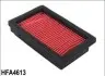 Фильтр воздушный HIFLO HFA4613 (фото 1)