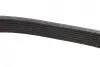 Ремінь генератора Renault Megane/Scenic 1.9dCi/2.0 03-/Nissan Juke 1.6 10- (7PK1122) BOSCH 1987948317 (фото 10)