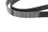 Ремінь генератора Renault Megane/Scenic 1.9dCi/2.0 03-/Nissan Juke 1.6 10- (7PK1122) BOSCH 1987948317 (фото 2)