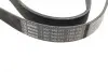 Ремінь генератора Renault Megane/Scenic 1.9dCi/2.0 03-/Nissan Juke 1.6 10- (7PK1122) BOSCH 1987948317 (фото 3)