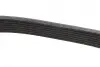 Ремінь генератора Renault Megane/Scenic 1.9dCi/2.0 03-/Nissan Juke 1.6 10- (7PK1122) BOSCH 1987948317 (фото 4)