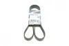 Ремінь генератора Audi A6 2.5TDI 94-97/Ford Fiesta 1.4TDCi 01-12/Peugeot Partner 1.6HDi 05- (6PK1340) BOSCH 1987948316 (фото 1)