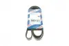 Ремень генератора Peugeot 206/306/4007/406/4007/Citroen C5 1.9TD/2.0/2.2HDI 96- (6PK1743) BOSCH 1987948360 (фото 1)