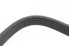 Ремінь генератора Jeep Cherokee 2.5Tdi 4x4 96-01/Opel Frontera A 2.5TDS 96-98 (8PK2188) BOSCH 1987948314 (фото 6)