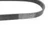 Ремінь генератора Ford Mondeo IV 2.5 07-15/Volvo S60/S80/V60/V70/XC60/XC70 07-16 Contitech 5PK628ELAST (фото 3)