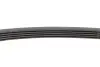Ремінь генератора Ford Mondeo IV 2.5 07-15/Volvo S60/S80/V60/V70/XC60/XC70 07-16 Contitech 5PK628ELAST (фото 4)
