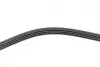 Ремінь генератора Mitsubishi Pajero 2.5 TD 90-/ L 200 2.5 96-07 (4PK1125) BOSCH 1987946081 (фото 10)