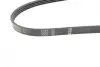 Ремінь генератора Mitsubishi Pajero 2.5 TD 90-/ L 200 2.5 96-07 (4PK1125) BOSCH 1987946081 (фото 2)