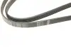 Ремінь генератора Toyota Avensis/Corolla 2.0D-4D 04-09 (5PK1250) BOSCH 1987946001 (фото 4)