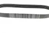 Ремінь генератора Citroen Berlingo/Fiat Ducato/Peugeot Boxer/Expert 1.9 D/TD 96-03 (6PK730) BOSCH 1987948428 (фото 6)