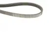 Ремінь генератора Fiat Brava 95-01/Peugeot 205/305 83-89/Renault Espace/Laguna 3.0 96-01 (4PK962) BOSCH 1987947809 (фото 5)