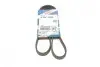 Ремінь генератора Toyota Avensis/Camry/Rav 4 1.8/2.0 83-00/Honda Civic 1.4-1.6 88-95 BOSCH 1987947878 (фото 8)