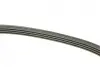 Ремінь генератора Toyota Avensis/Camry/Rav 4 1.8/2.0 83-00/Honda Civic 1.4-1.6 88-95 BOSCH 1987947878 (фото 10)