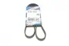 Ремінь генератора Toyota Avensis/Camry/Rav 4 1.8/2.0 83-00/Honda Civic 1.4-1.6 88-95 BOSCH 1987947878 (фото 2)