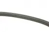 Ремінь генератора Toyota Avensis/Camry/Rav 4 1.8/2.0 83-00/Honda Civic 1.4-1.6 88-95 BOSCH 1987947878 (фото 4)