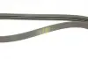 Ремінь генератора Toyota Avensis/Camry/Rav 4 1.8/2.0 83-00/Honda Civic 1.4-1.6 88-95 BOSCH 1987947878 (фото 5)