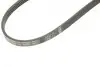 Ремінь генератора Chevrolet/Fiat/Honda/Mazda/Mitsubishi/Nissan/Skoda/Subaru/Suzuki (4PK950) BOSCH 1987946076 (фото 5)