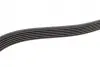 Ремінь генератора MB W140/211 M113/119/ Audi A4/A5 3.0TDI 04- (6PK2460) BOSCH 1987947990 (фото 8)