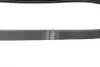 Ремінь генератора Renault Kangoo 1.6i 08-/ Nissan Micra1.0-1.4 92-03 (4PK725) BOSCH 1987947889 (фото 2)