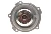 Помпа води Audi A4/A6/Skoda Felicia/VW Golf/Caddy/Passat/Polo 1.9D/TDI/SDI 95- SKF VKPC 81615 (фото 4)
