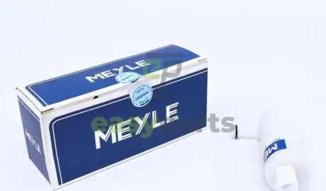 Насос омивача скла передніх фар MB A (W169)/E (W210/211/212)/Vito (639)/VW Crafter MEYLE 0148700000