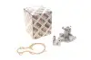 Помпа води Ford C-Max II/Focus III/Mondeo V/Fiesta/Transit Courier 1.0 EcoBoost/1.1 12- (R/B)(6 лоп) P261