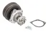 FIAT помпа води TEMPRA,TIPO 1.6 93- MAGNETI MARELLI 352316170287 (фото 2)