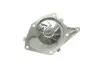 Помпа води Renault Kangoo/Megane/Clio 1.5dCi 01- P958
